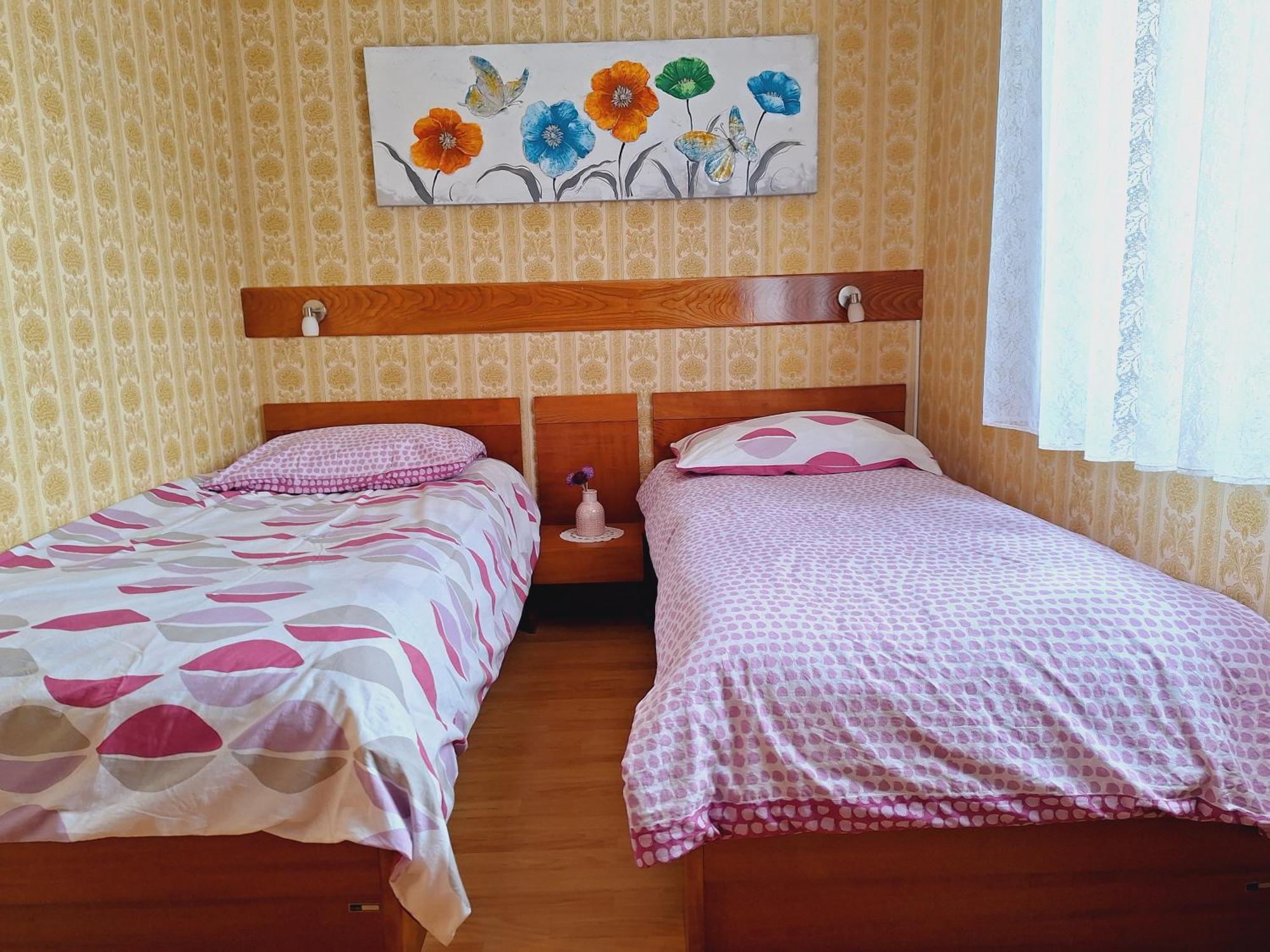 Apartma Ferjan Zaga Εξωτερικό φωτογραφία